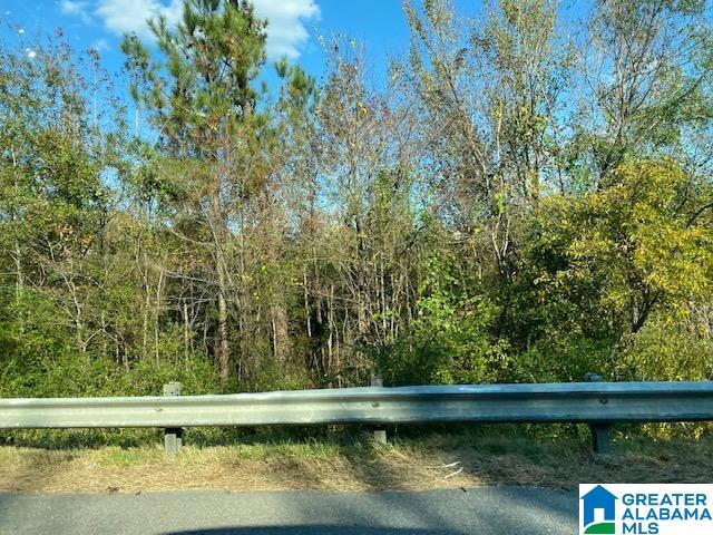 0 Montevallo Road Alabaster, AL 35007 - Photo 3 of 7