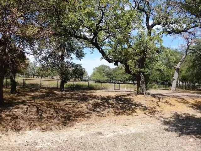 a view of a yard with trees
