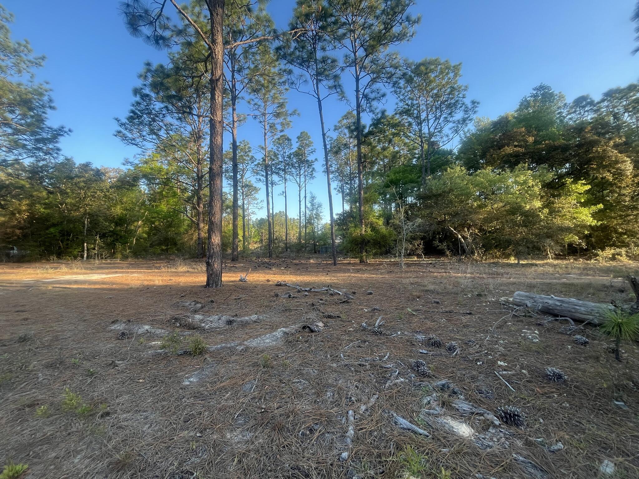 0 204th Dunnellon, FL 34431 - Photo 11 of 15 IMG_6455_4