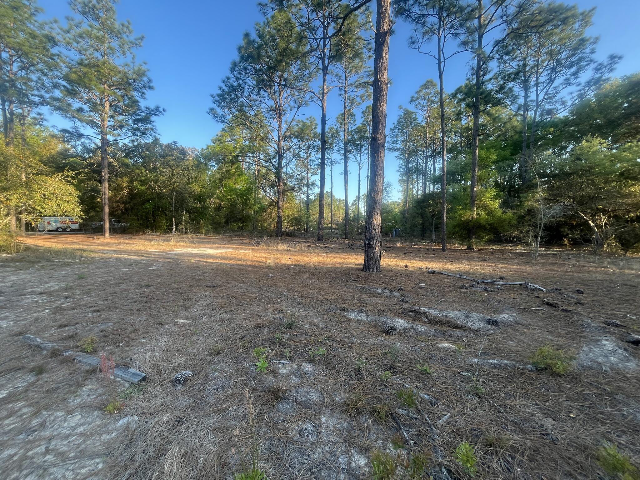 0 204th Dunnellon, FL 34431 - Photo 12 of 15 IMG_6456_5