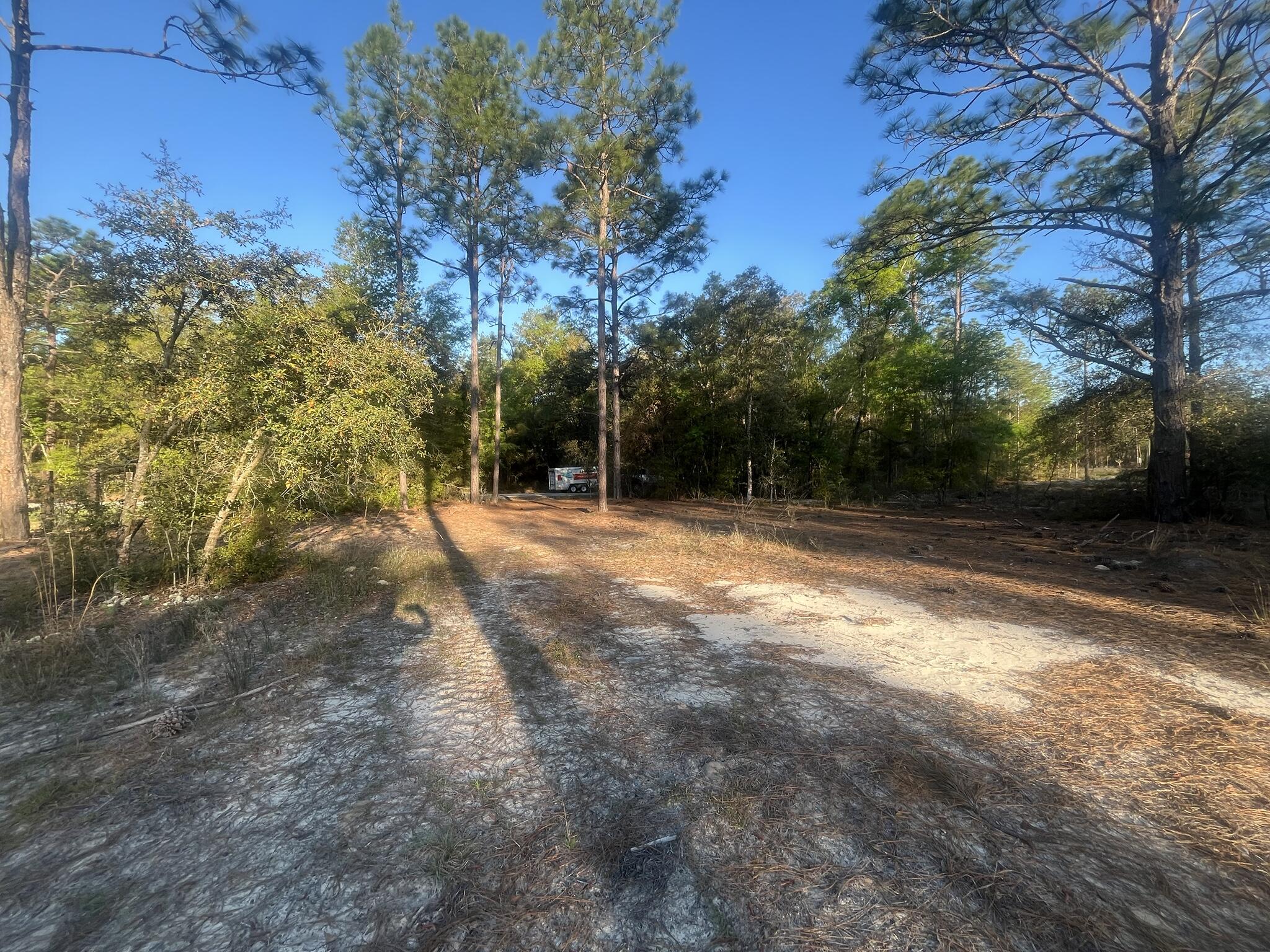 0 204th Dunnellon, FL 34431 - Photo 14 of 15 IMG_6458_5