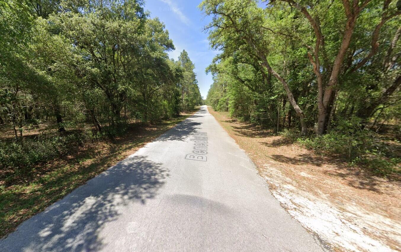 0 204th Dunnellon, FL 34431 - Photo 4 of 15 204TH2