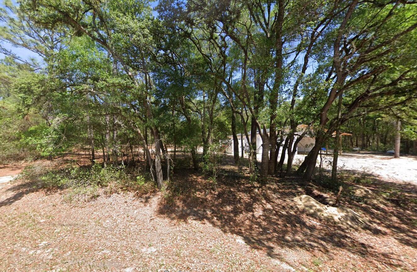 0 204th Dunnellon, FL 34431 - Photo 5 of 15 204TH1