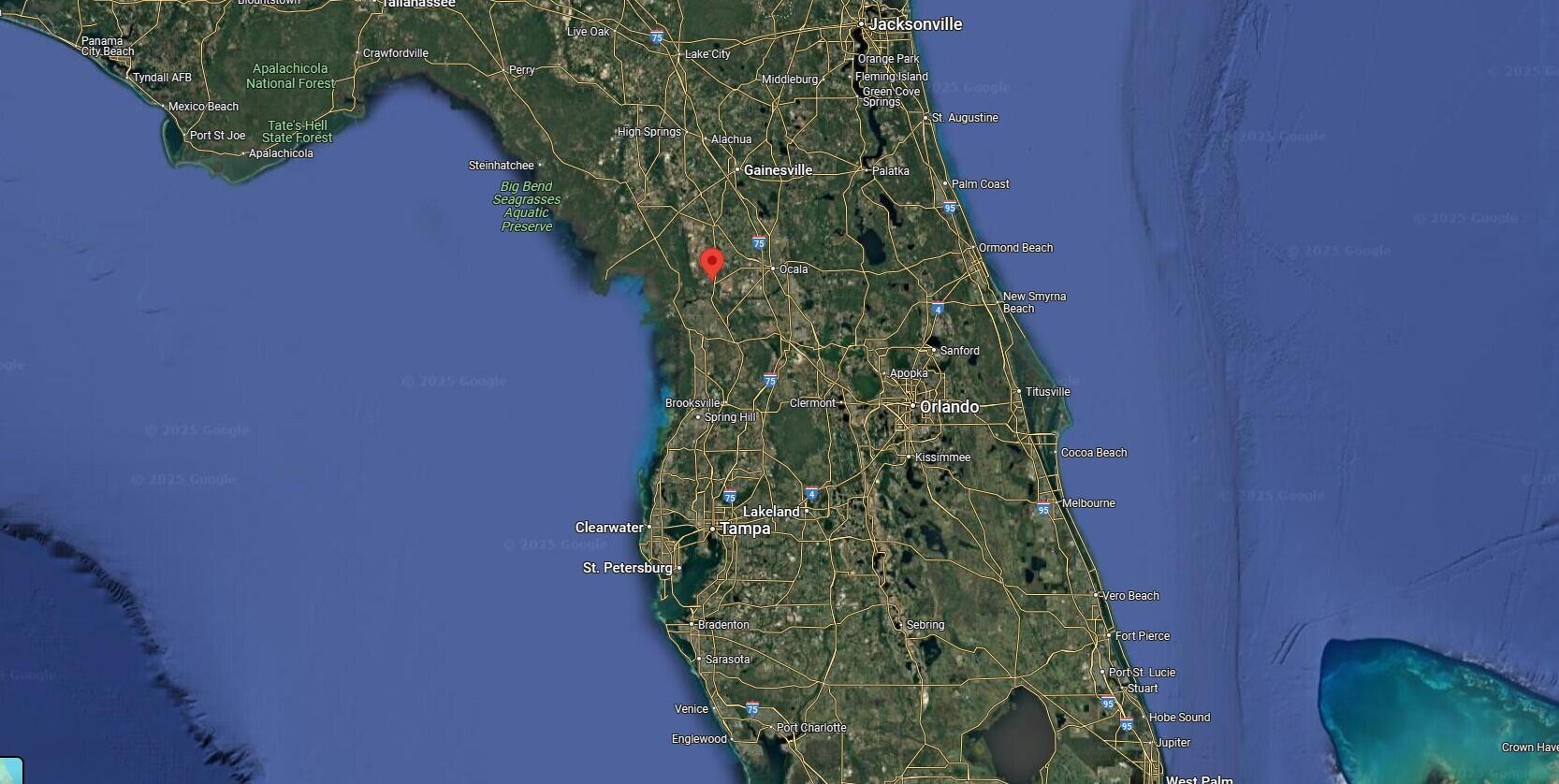 0 204th Dunnellon, FL 34431 - Photo 6 of 15 204TH