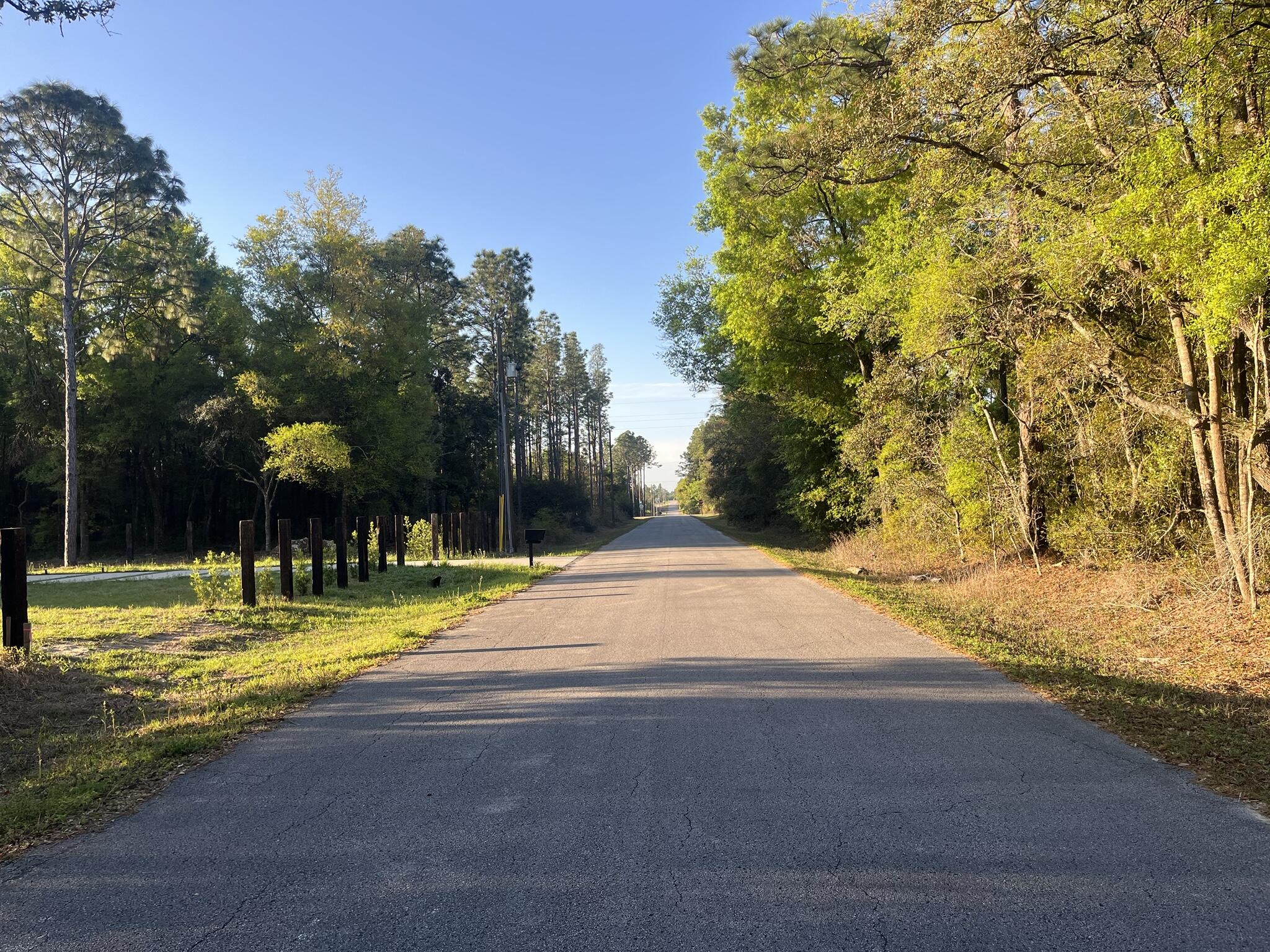 0 204th Dunnellon, FL 34431 - Photo 9 of 15 IMG_6453_5