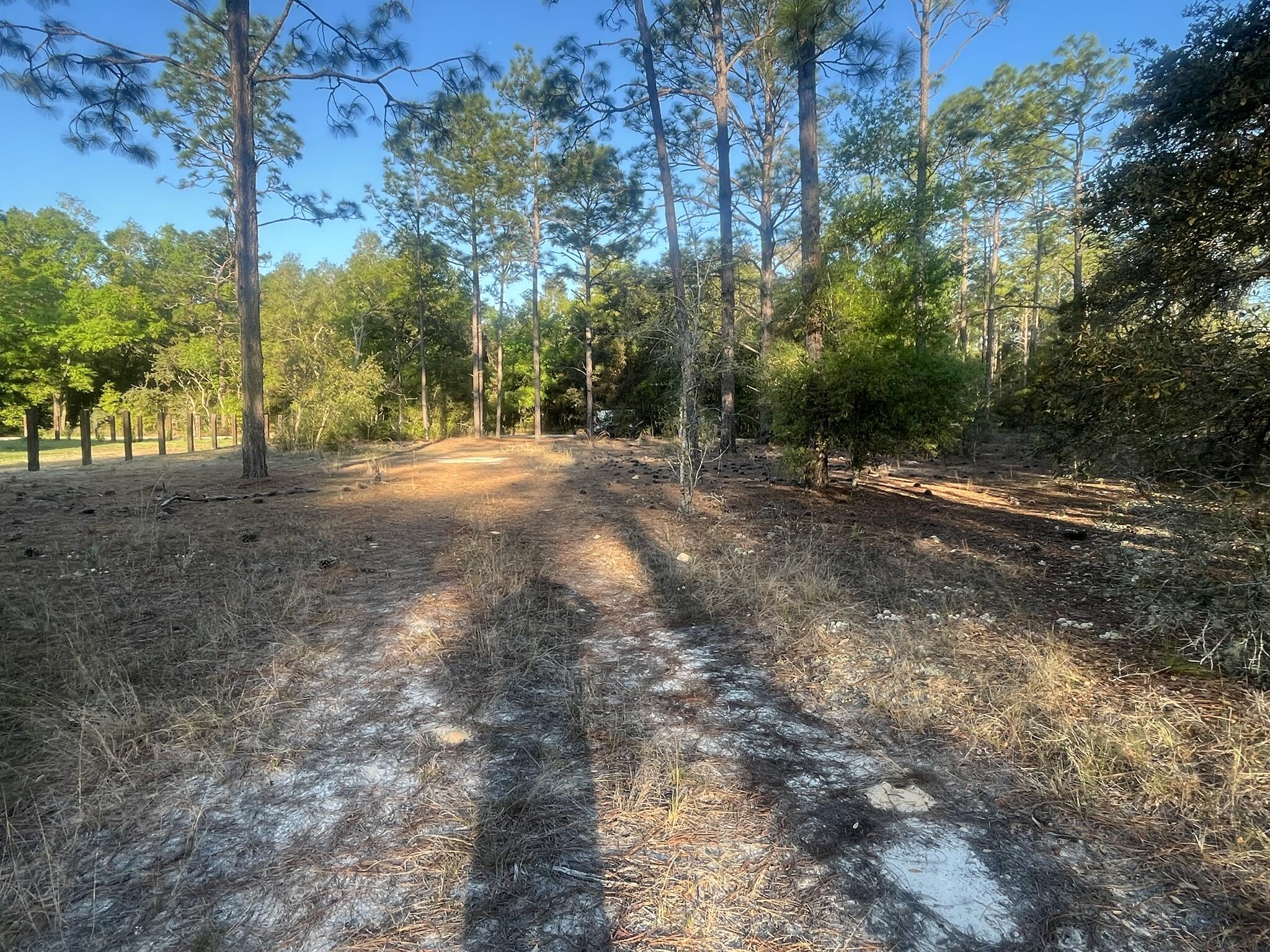 0 204th Dunnellon, FL 34431 - Photo 10 of 15 IMG_6454_6