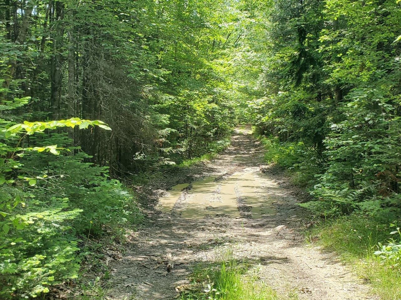 0 Morgan Road Burnham, ME 04922 - Photo 15 of 69 20250617_123933