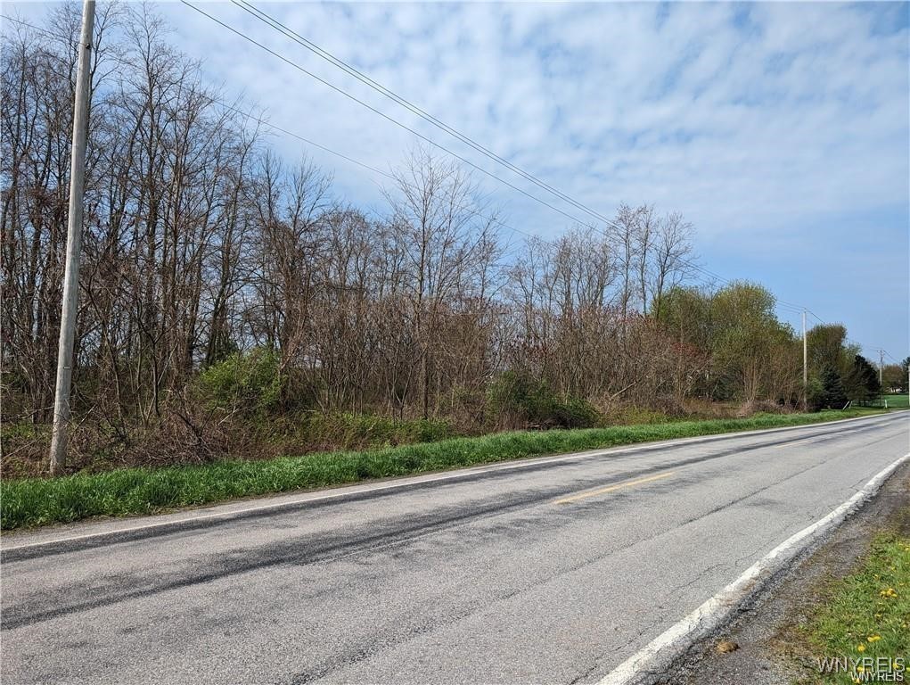 Carney Road Akron, NY 14001 - Photo 2 of 6