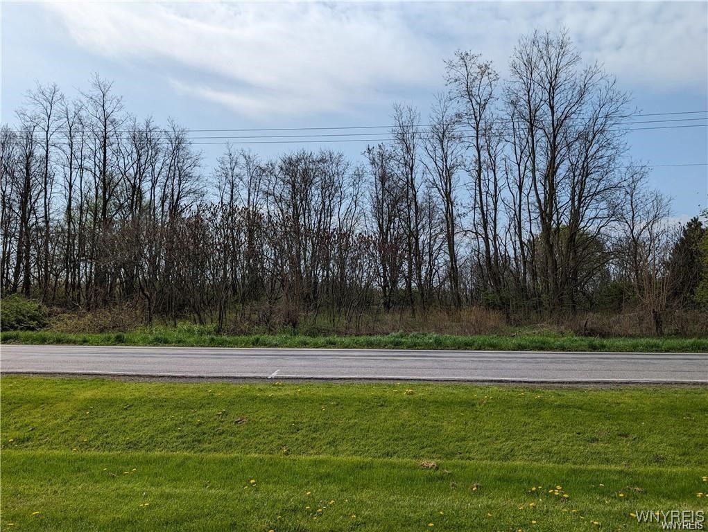 Carney Road Akron, NY 14001 - Photo 3 of 6