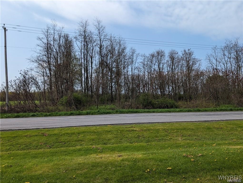 Carney Road Akron, NY 14001 - Photo 4 of 6