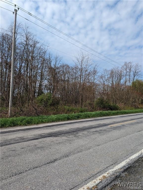 Carney Road Akron, NY 14001 - Photo 6 of 6