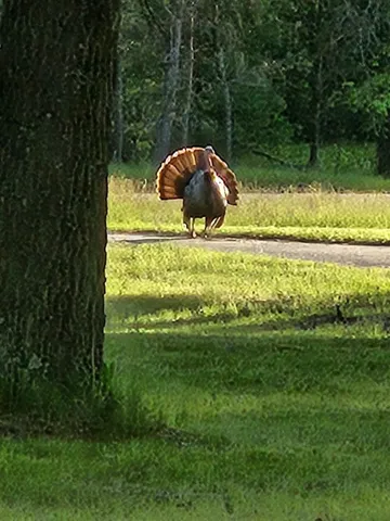 $460,000 | W6403 23rd Street, Necedah, WI 54646