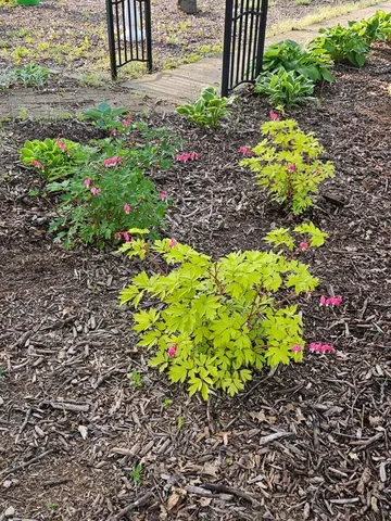 $460,000 | W6403 23rd Street, Necedah, WI 54646