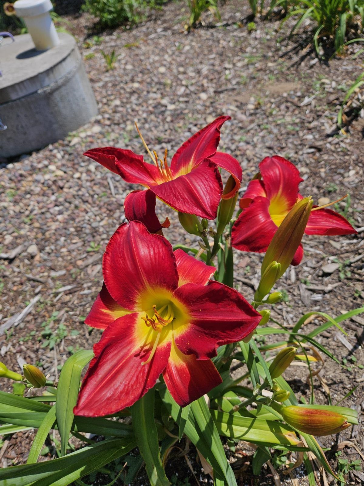 W6403 23rd Street Necedah, WI 54646 - Photo 23 of 88