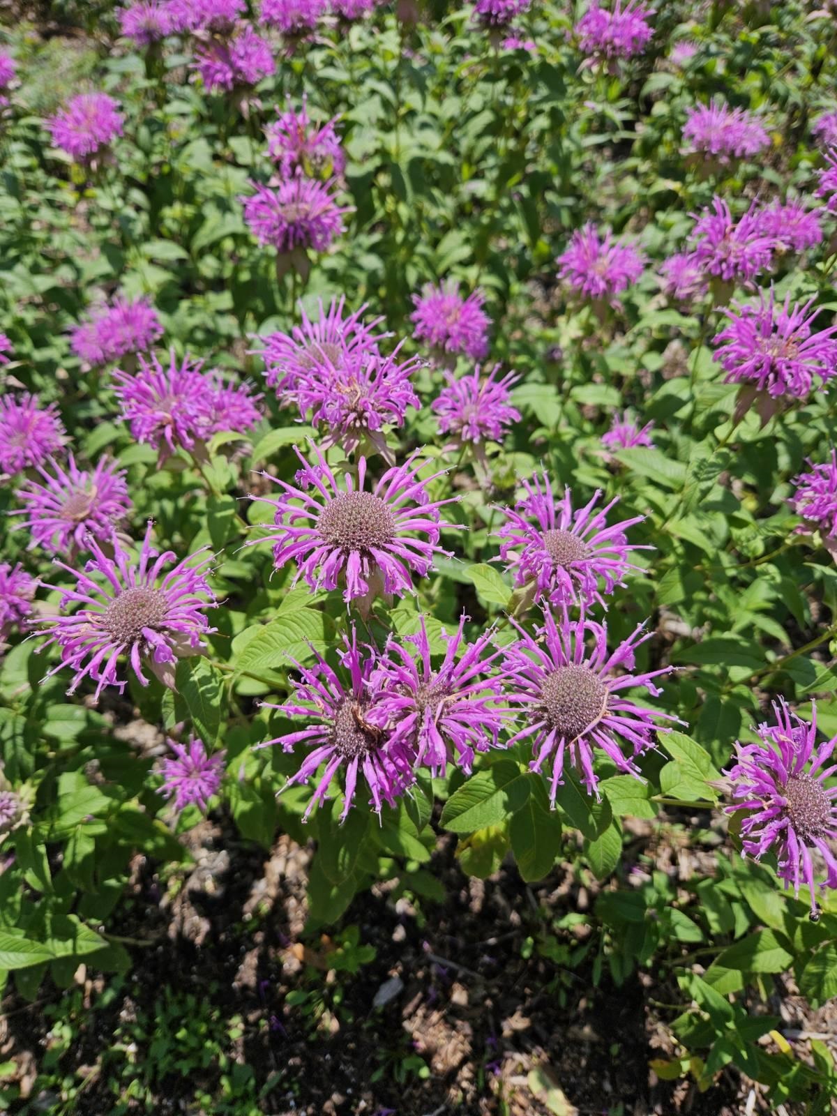 W6403 23rd Street Necedah, WI 54646 - Photo 24 of 88