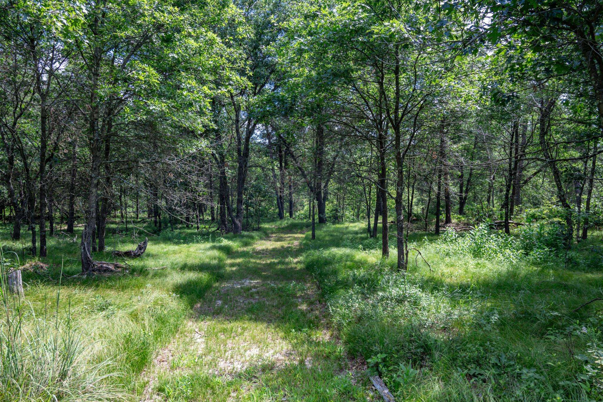 W6403 23rd Street Necedah, WI 54646 - Photo 35 of 88