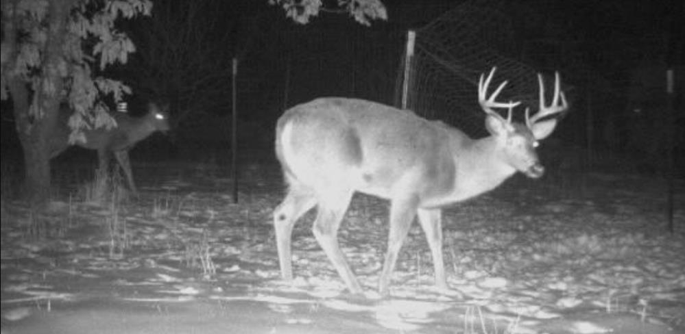 W6403 23rd Street Necedah, WI 54646 - Photo 77 of 88