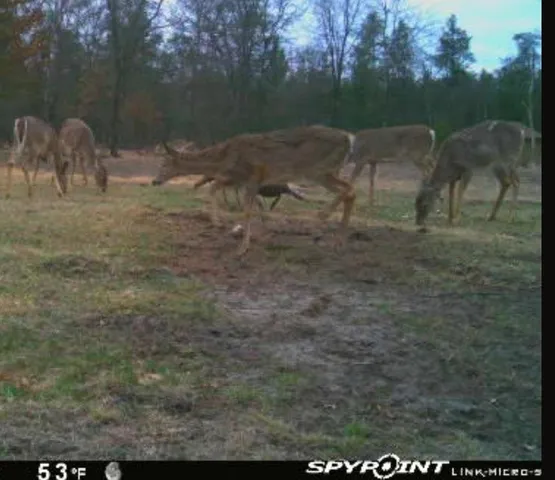 $460,000 | W6403 23rd Street, Necedah, WI 54646