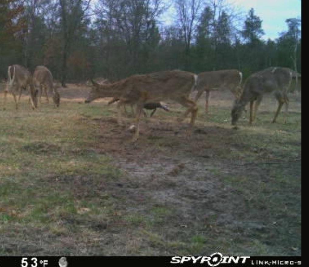 W6403 23rd Street Necedah, WI 54646 - Photo 78 of 88