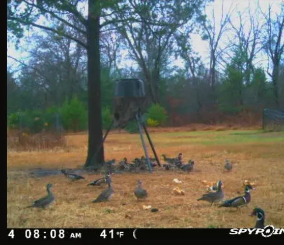 $460,000 | W6403 23rd Street, Necedah, WI 54646