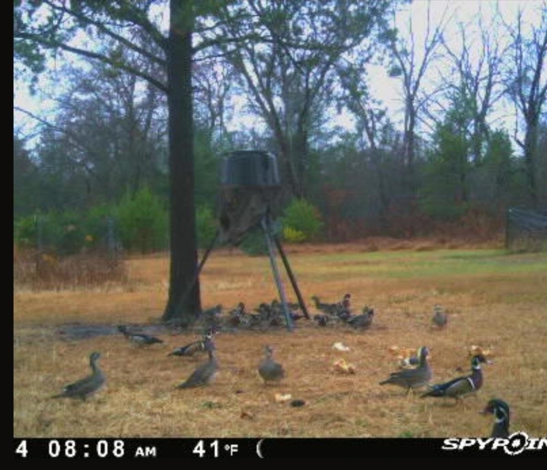 W6403 23rd Street Necedah, WI 54646 - Photo 79 of 88