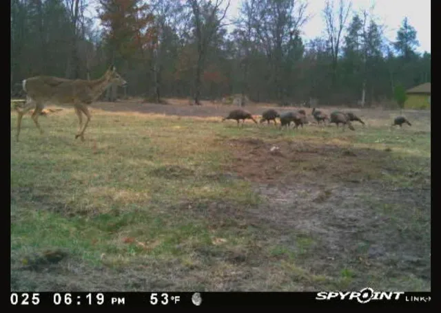 $460,000 | W6403 23rd Street, Necedah, WI 54646