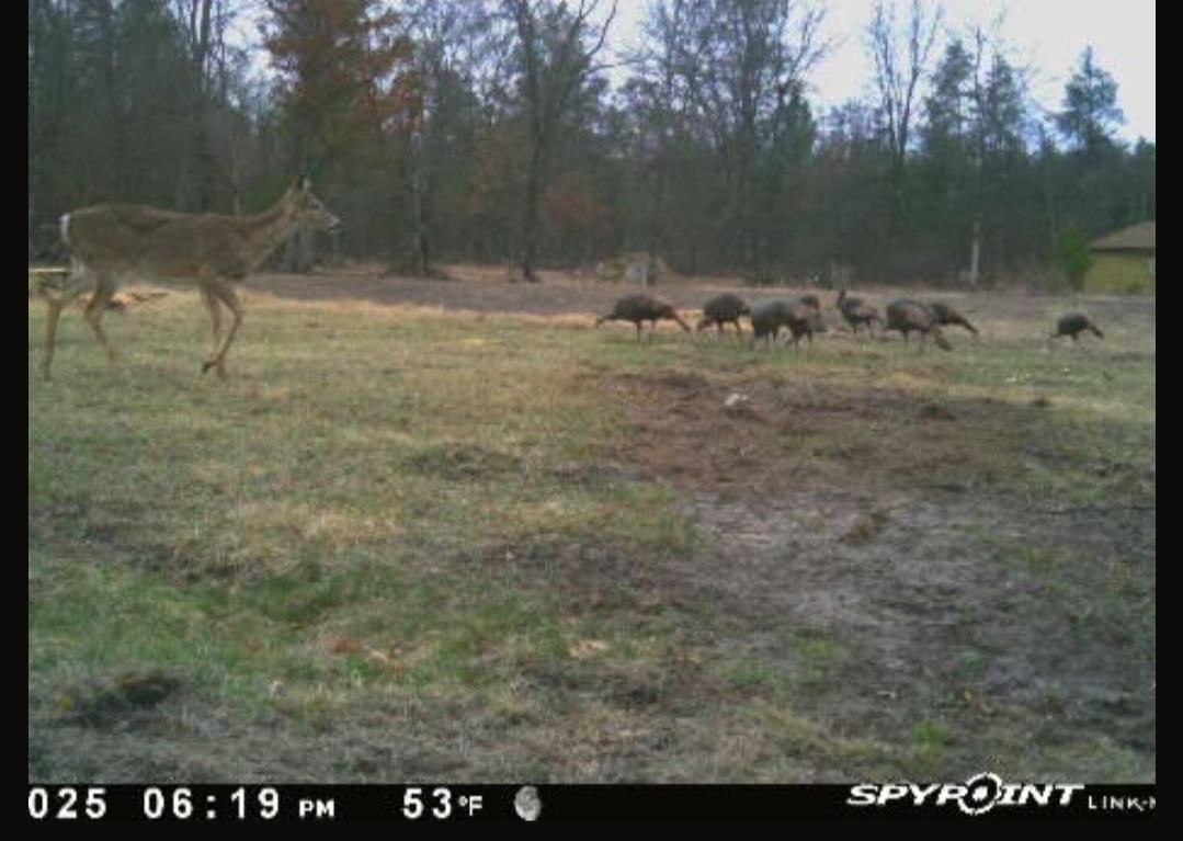 W6403 23rd Street Necedah, WI 54646 - Photo 80 of 88