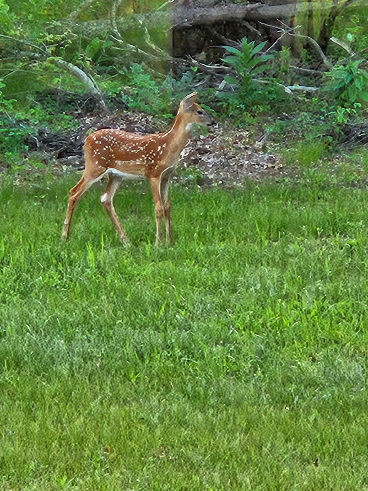 W6403 23rd Street Necedah, WI 54646 - Photo 82 of 88