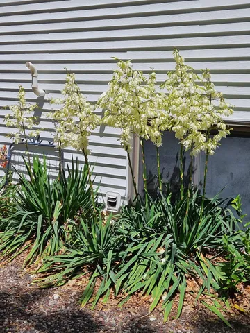 $460,000 | W6403 23rd Street, Necedah, WI 54646