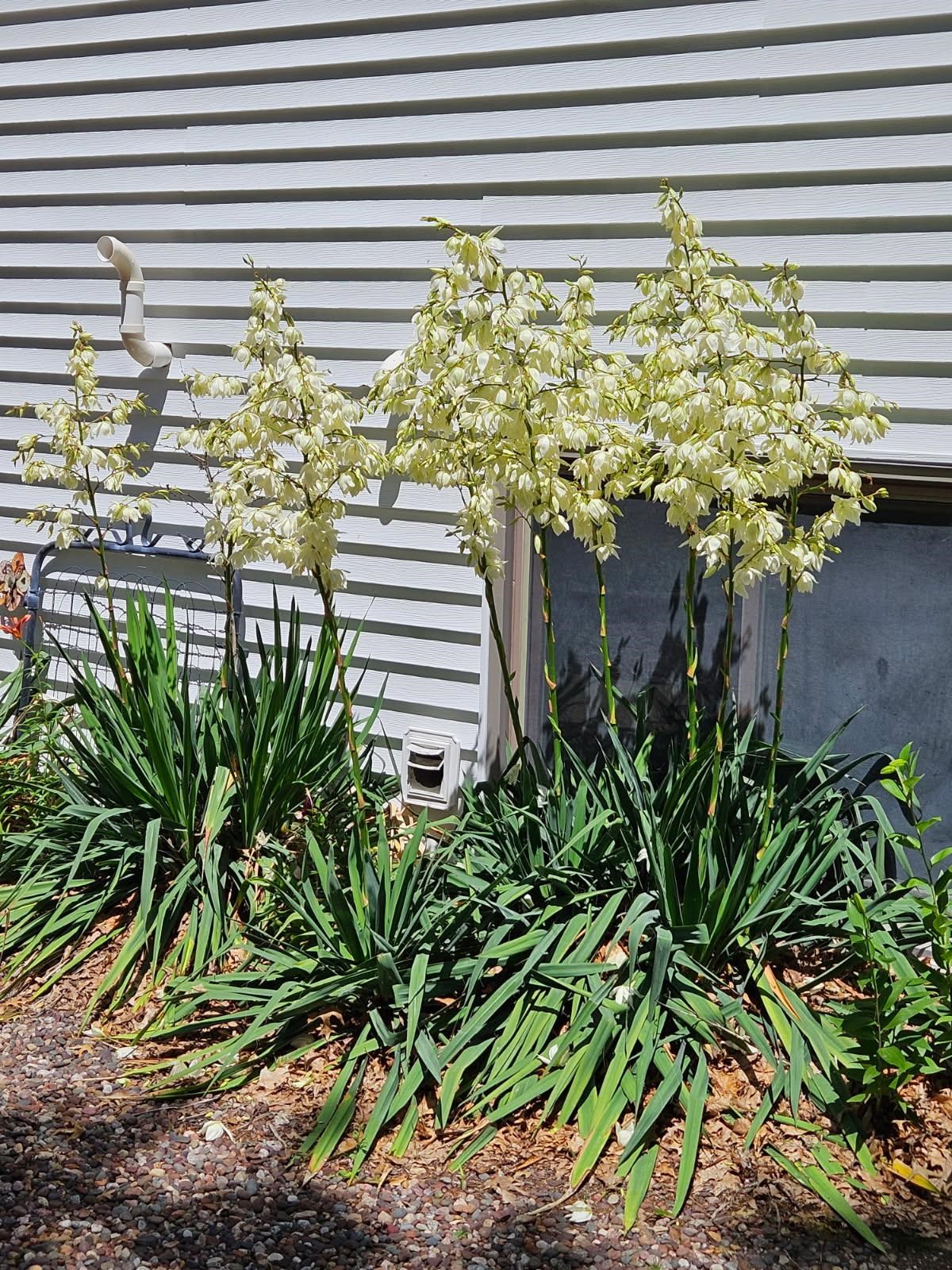 W6403 23rd Street Necedah, WI 54646 - Photo 83 of 88