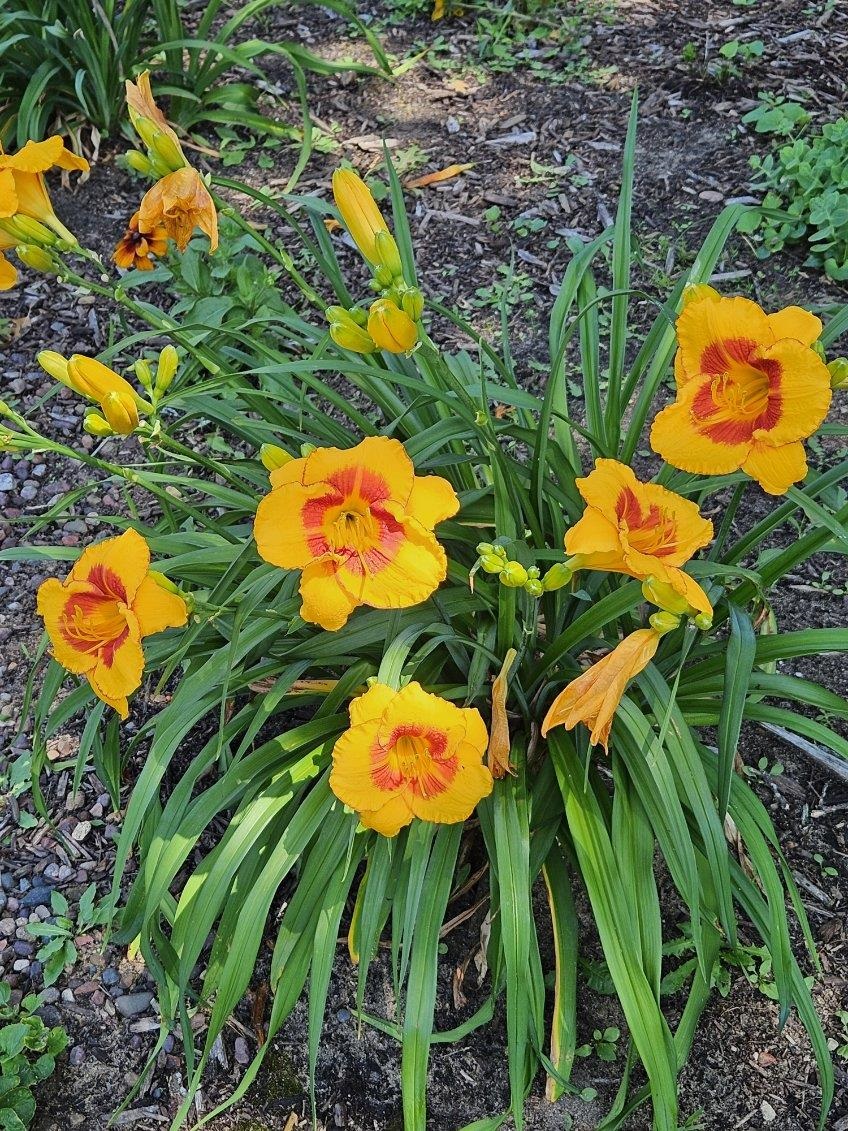 W6403 23rd Street Necedah, WI 54646 - Photo 84 of 88