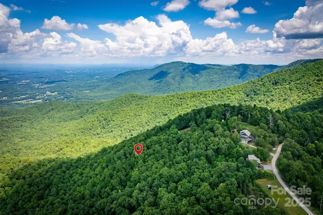 a view of a big yard with lots of green space and mountain view in back