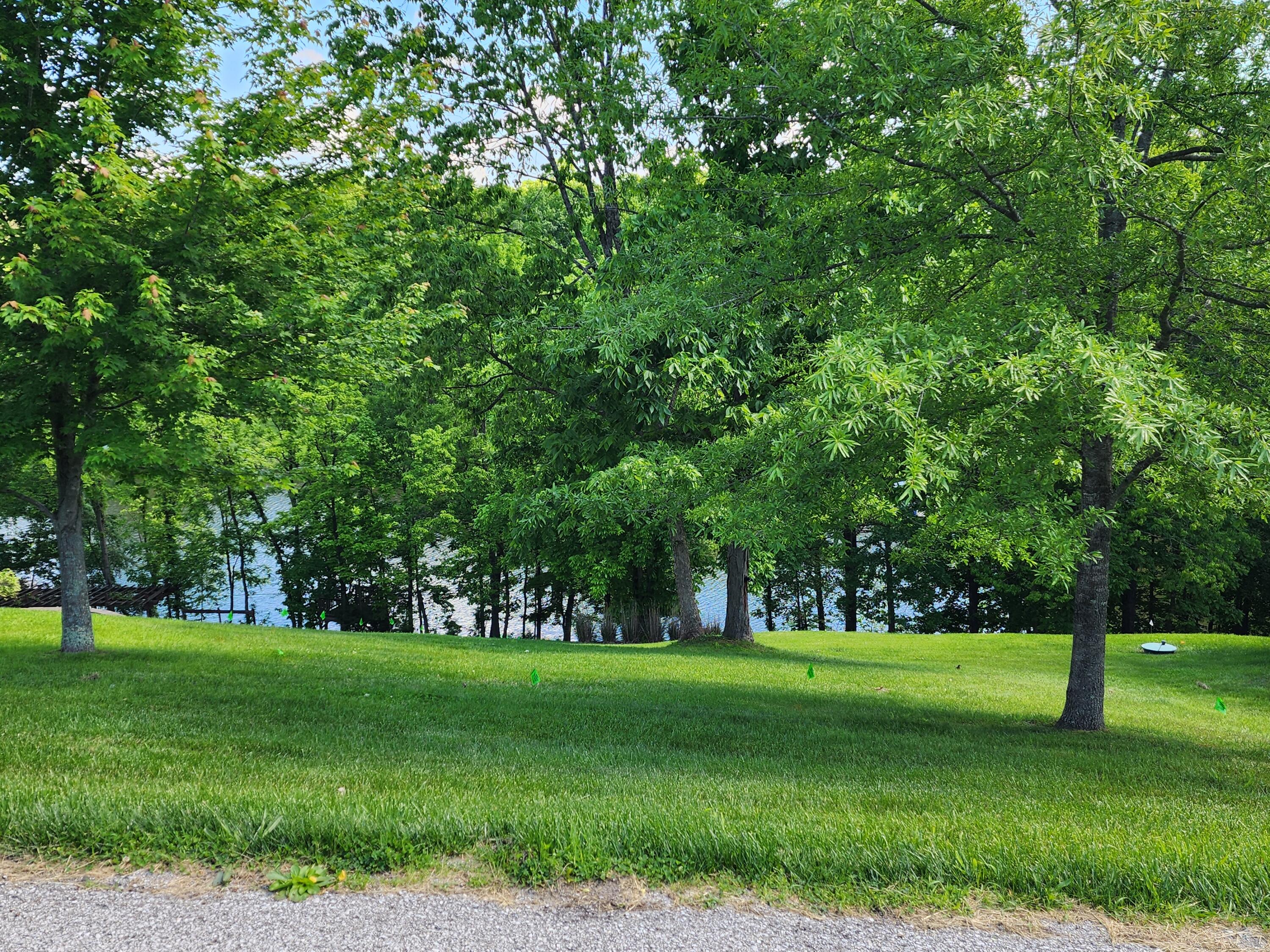 205 Mallard Point Court Georgetown, KY 40324 - Photo 4 of 12 20250523_111650
