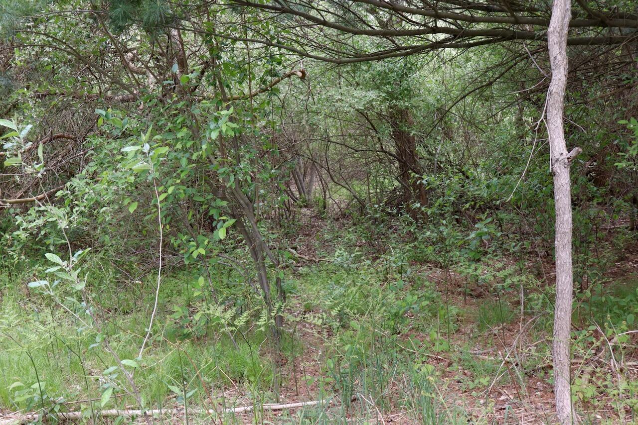 6153 South Branch Road Branch, MI 49402 - Photo 21 of 70 20