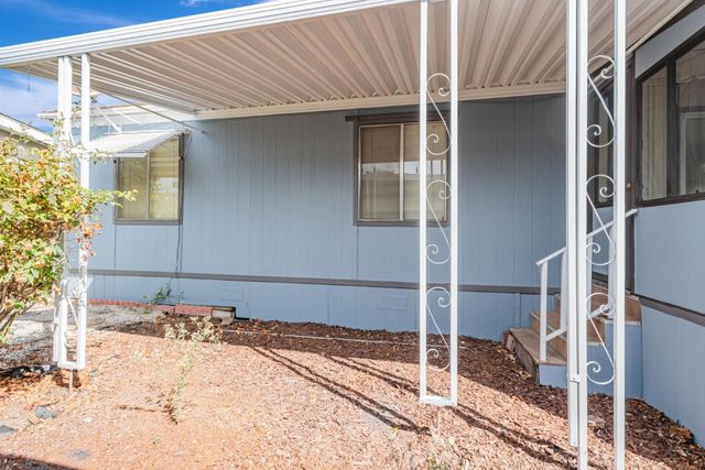 a close up of a flower pot