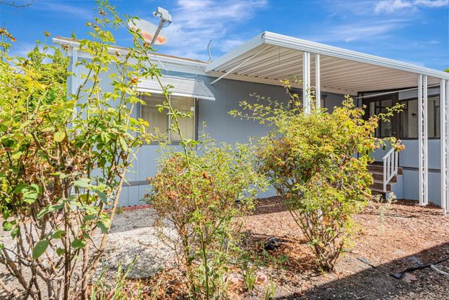 a house that has a tree in it