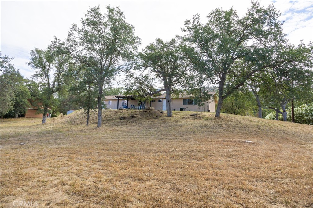 30142 Revis Road Coarsegold, CA 93614 - Photo 33 of 43 a view of a backyard with large trees