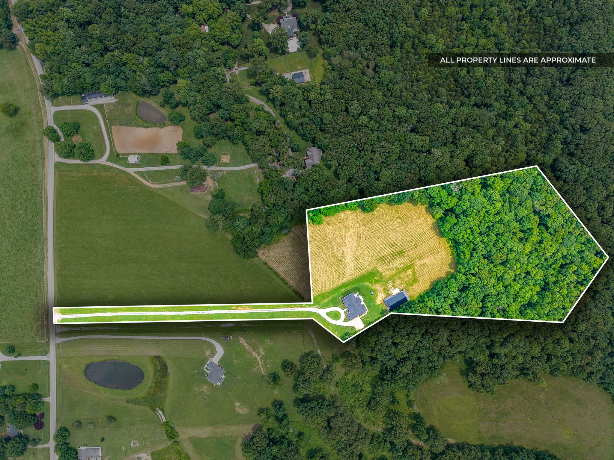 2480 Jarrell Ridge Road Clarksville, TN 37043 - Photo 63 of 69 a view of a back yard