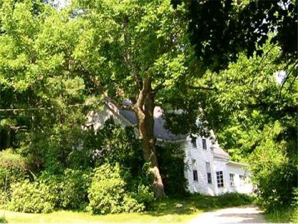 81 Wood Avenue East Rindge, NH 03461 - Photo 1 of 3