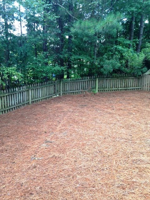 2305 Kendricks Court Raleigh, NC 27613 - Photo 23 of 23 Yard