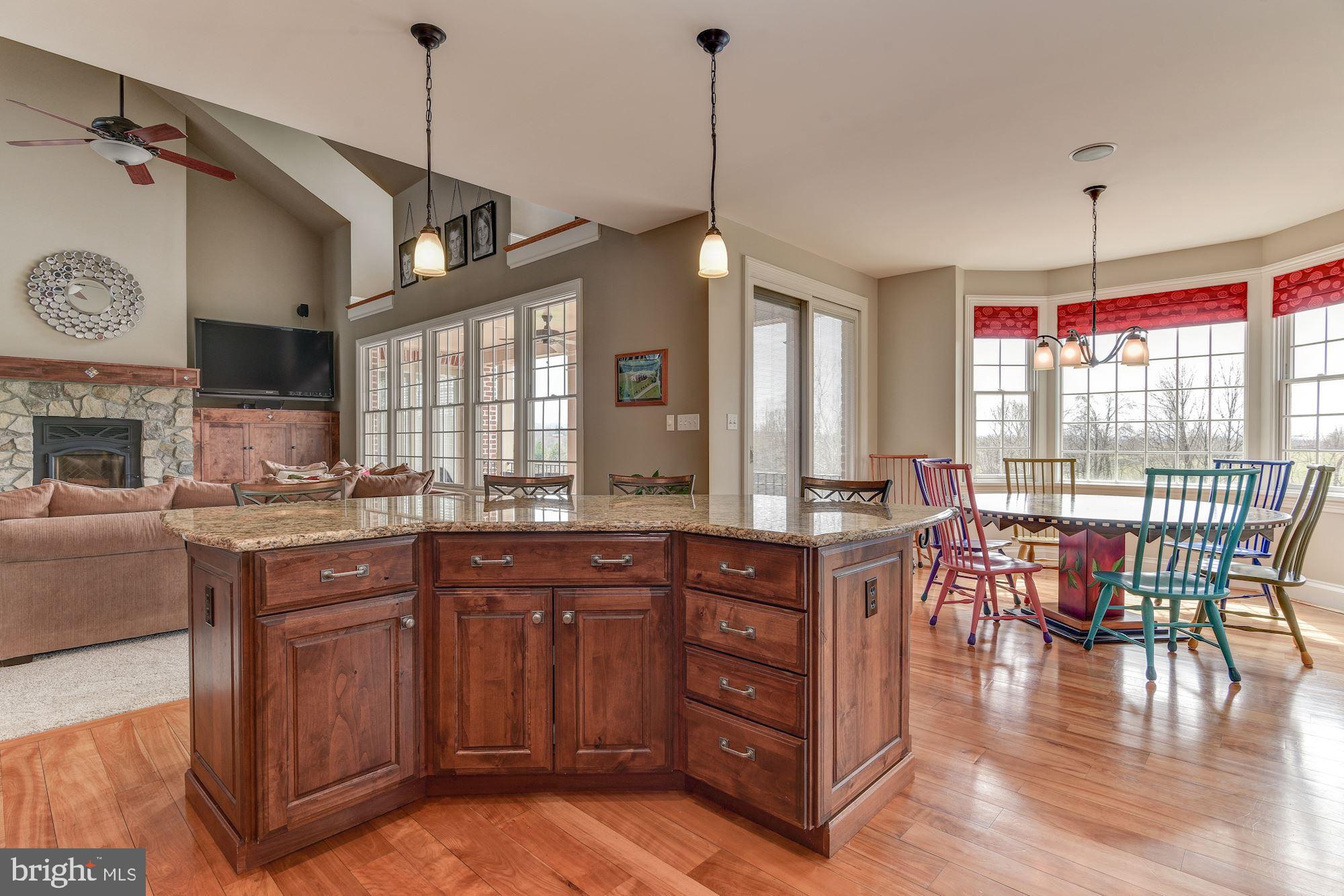 8728 Pete Wiles Road Middletown, MD 21769 - Photo 17 of 47 GRANITE COUNTERS THROUGHOUT THIS KITCHEN