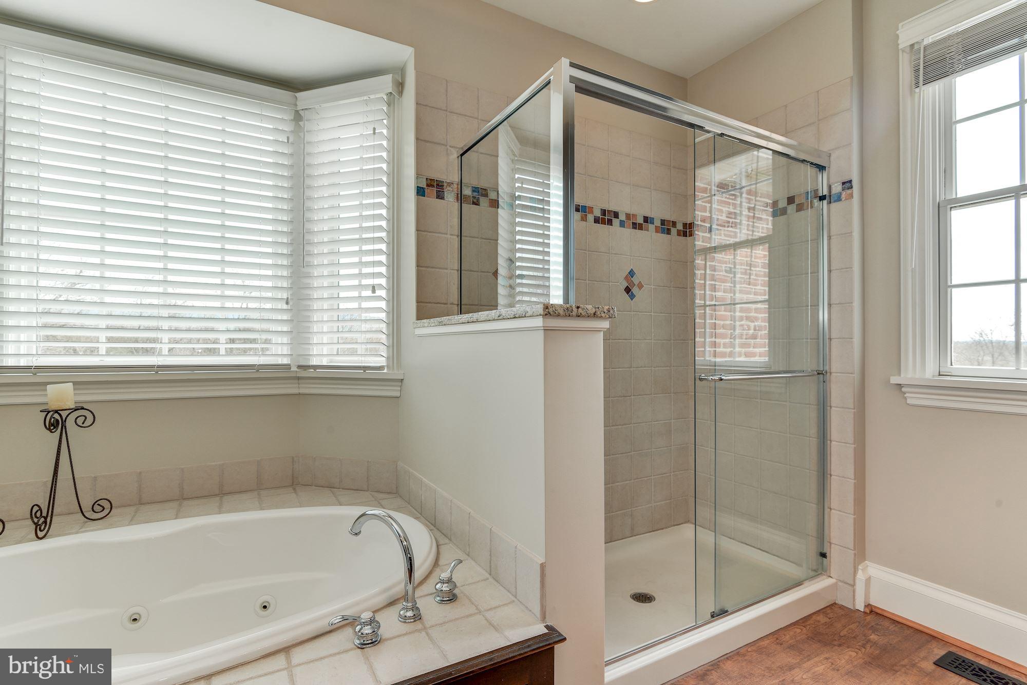8728 Pete Wiles Road Middletown, MD 21769 - Photo 34 of 47 MASTER BATH