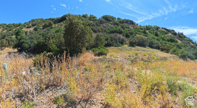 3635 South Riverstone Road East, Unit 81 Mapleton, UT 84664 - Photo 1 of 6 Mountain view featuring a heavily wooded area