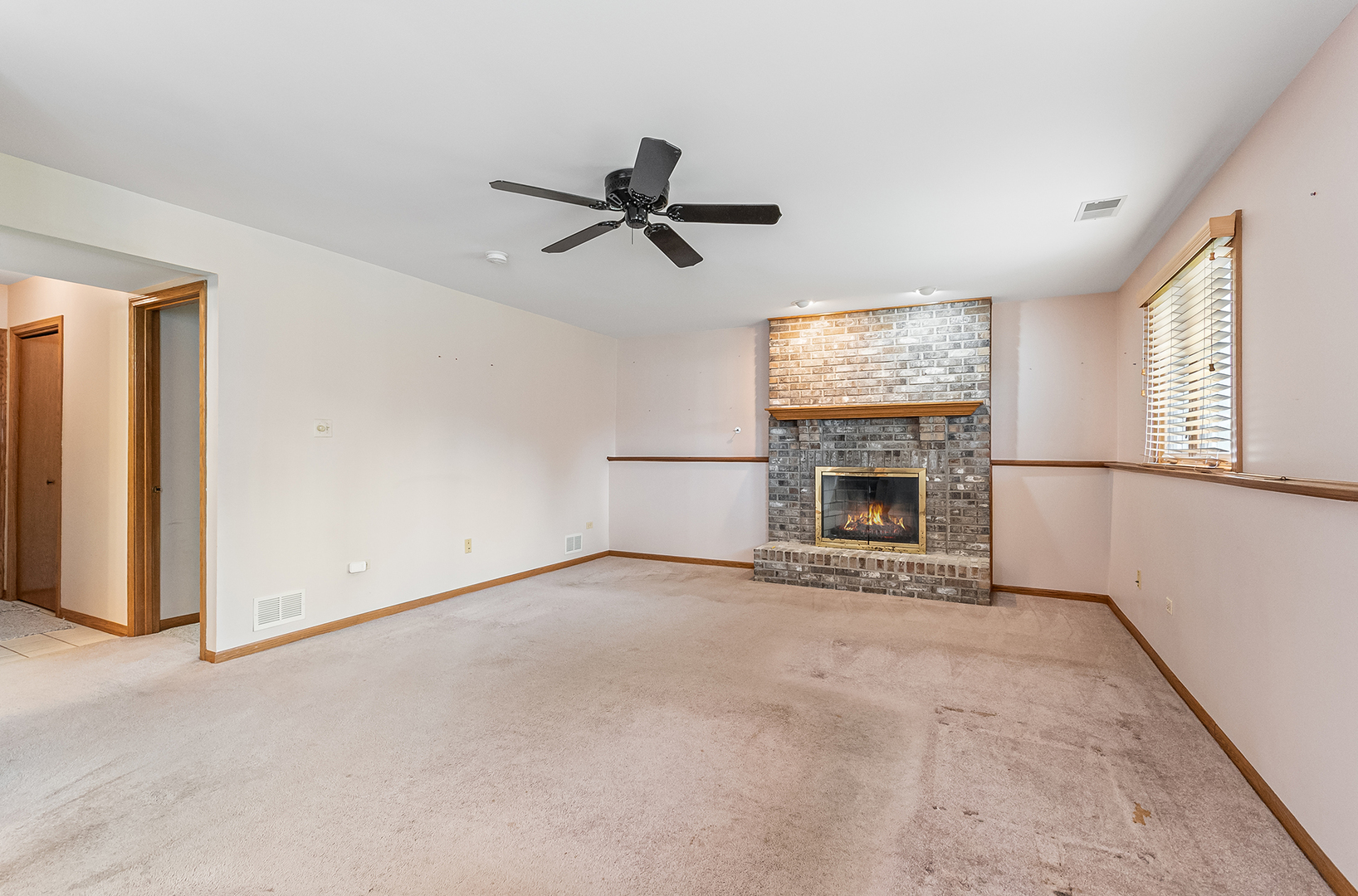 891 Young Street Lemont, IL 60439 - Photo 10 of 23
