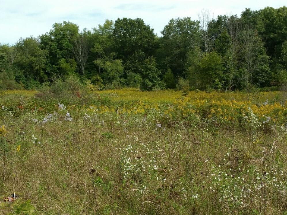Parcel F Lindsey Road Plainwell, MI 49080 - Photo 3 of 25 20150920_113032_resized
