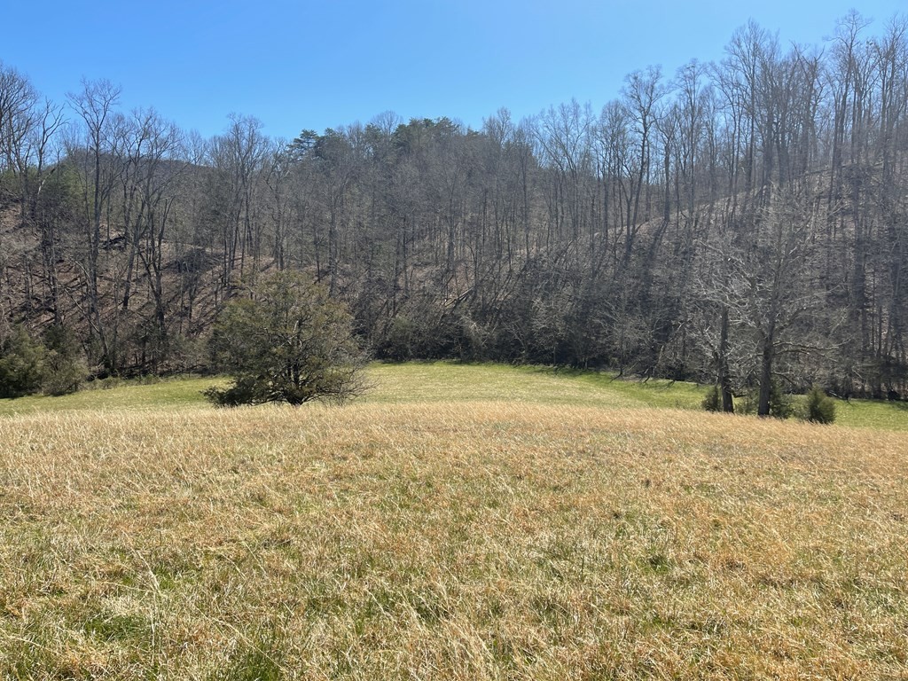 1522 Jayell Road Sevierville, TN 37862 - Photo 11 of 20