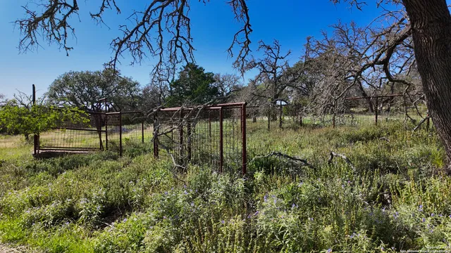 a view of backyard with green space
