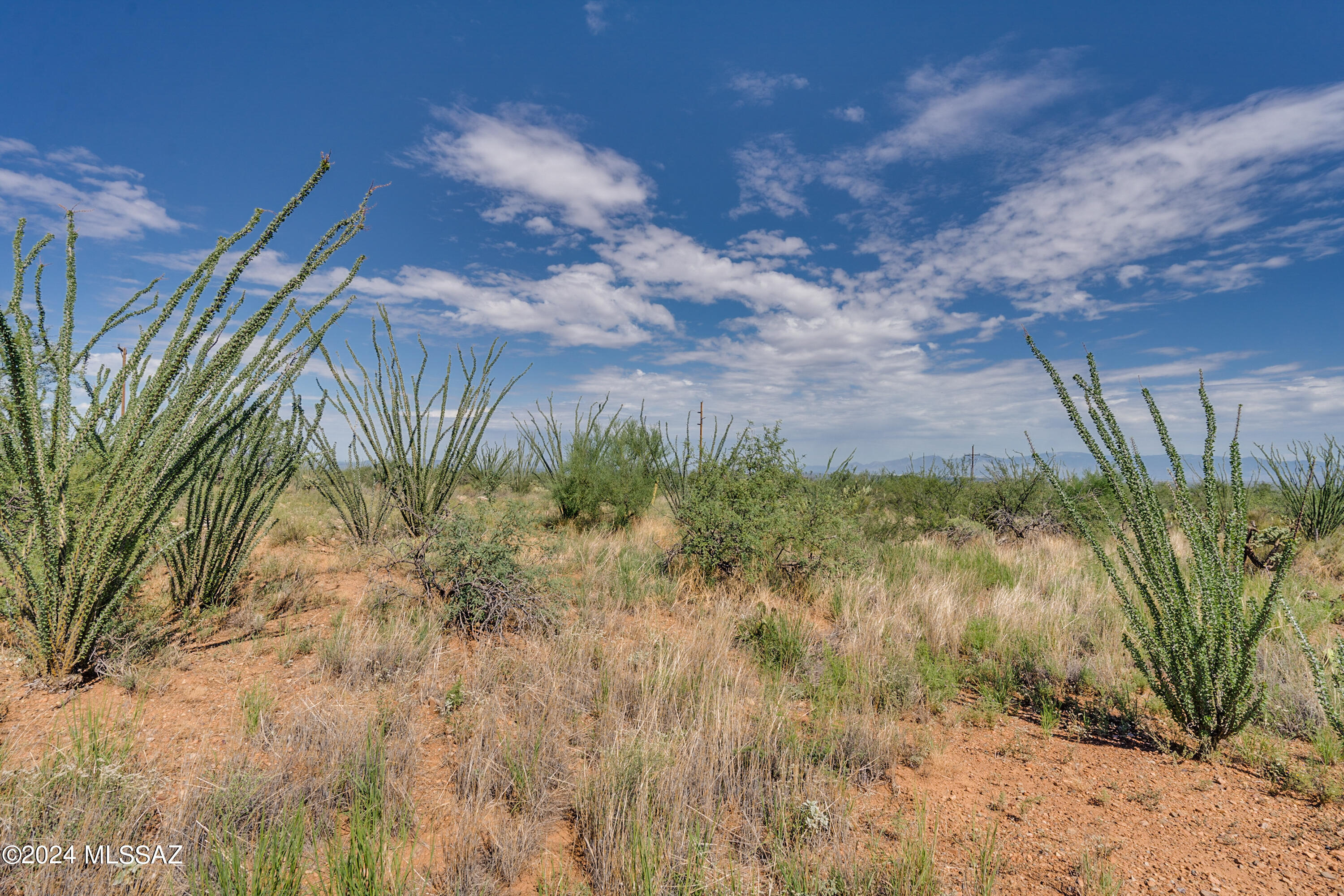 9789 East Ocotillo Rim Trail Vail, AZ 85641 - Photo 25 of 29 Ocotillo Rim Trl-7