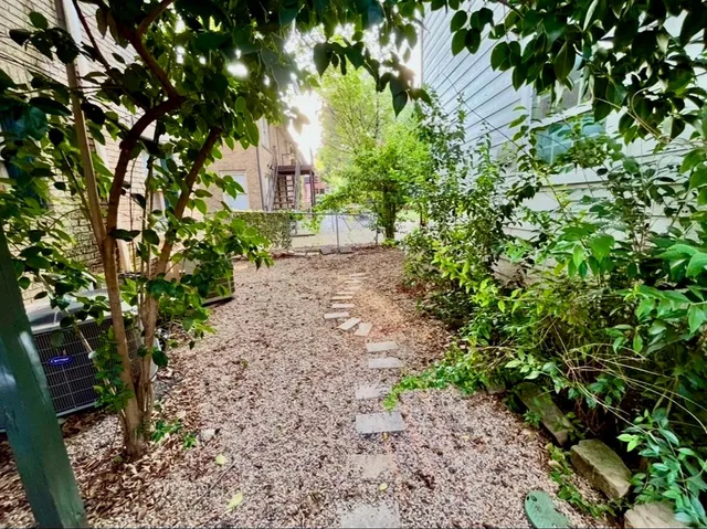 a view of a yard with large trees