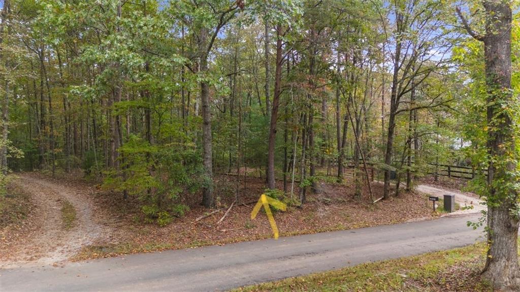 0 Rider Road Dawsonville, GA 30534 - Photo 2 of 13